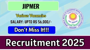 JIPMER Recruitment 2025 - Apply Online for 03 Project Technical Support, Project Research Scientist Posts