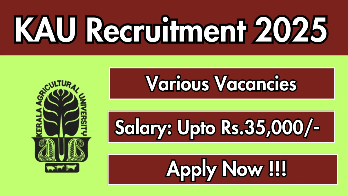KAU Recruitment 2025 - Apply Offline for 32 Project Associate, Analyst and More Posts
