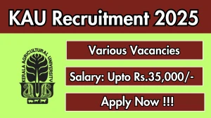 KAU Recruitment 2025 - Apply Offline for 32 Project Associate, Analyst and More Posts