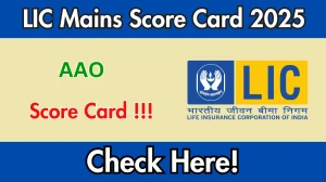LIC AAO Mains Score Card 2025: Download Score Card PDF from licindia.in LIC AAO Mains Score Card 2025: Download Score Card PDF from licindia.in