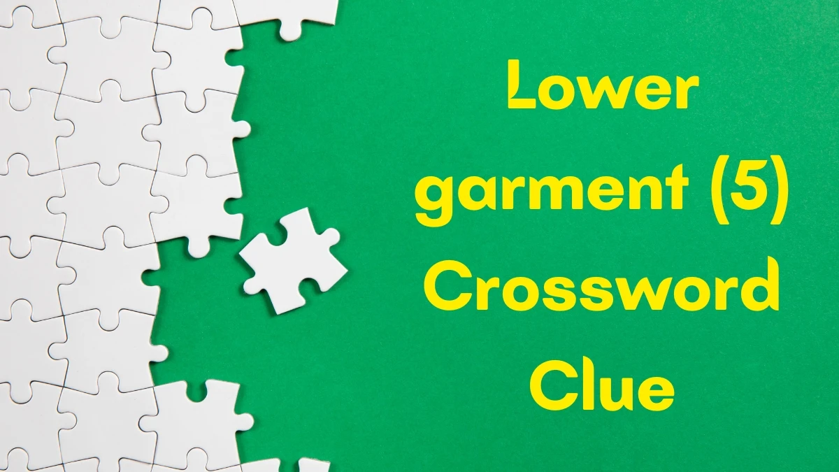Lower garment Crossword Clue Irish Daily Mail Quick 5 letters Answer