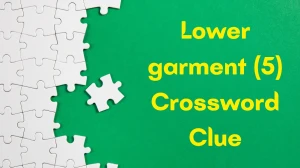 Lower garment Crossword Clue Irish Daily Mail Quick 5 letters Answer