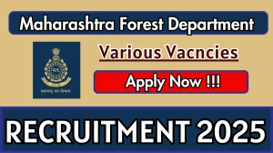 Maharashtra Forest Department Recruitment 2025 - Apply Offline for 13 DEO, MS CIT Trainer and More Posts