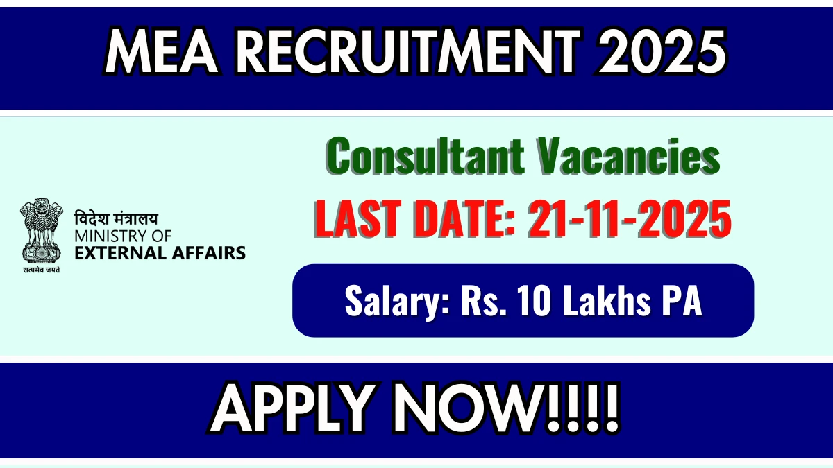MEA Consultant Recruitment 2025 - Apply Online