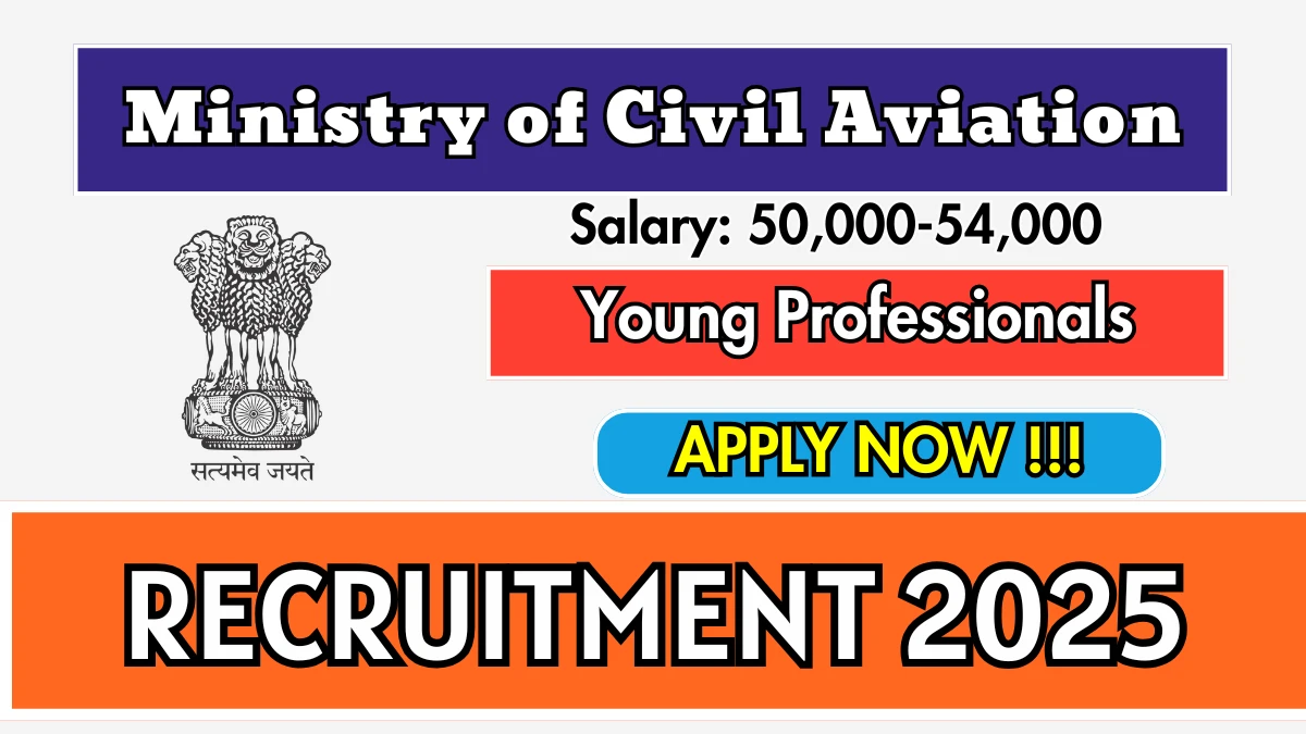Ministry of Civil Aviation Young Professionals Recruitment 2025 - Apply Offline for 02 Posts