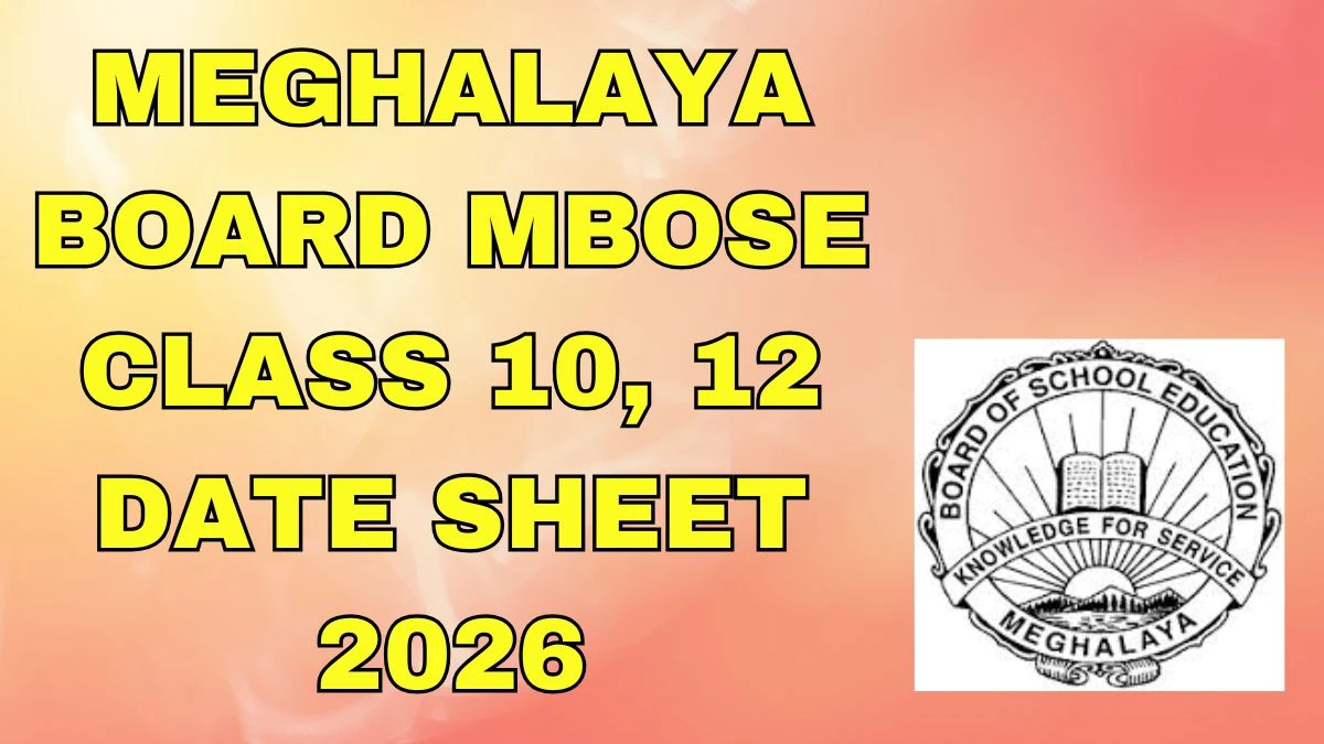 MKBU Result 2025 Out at mkbhavuni.edu.in Direct Link to Download 1st, 2nd, 3rd and 5th Semester Result