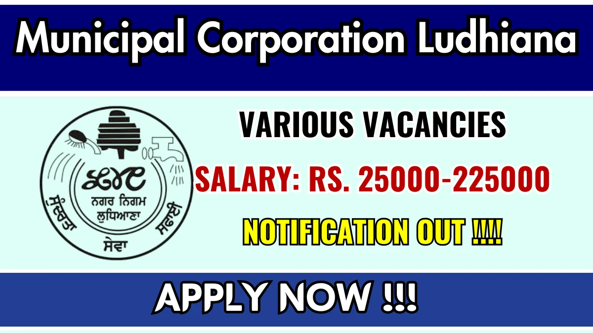 Municipal Corporation Ludhiana Recruitment 2025 - Apply Online for 10 Account Assistant, CFO and More Posts