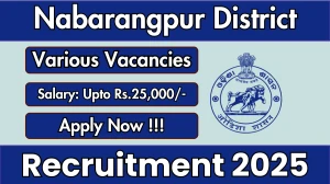 Nabarangpur District Recruitment 2025 - Apply Offline for 04 Senior Assistant, Peon and More Posts
