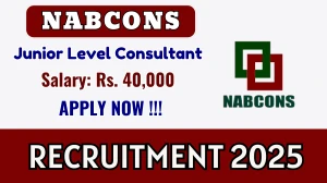 NABCONS Junior Level Consultant Recruitment 2025 - Apply Online NABCONS Junior Level Consultant Recruitment 2025 - Apply Online
