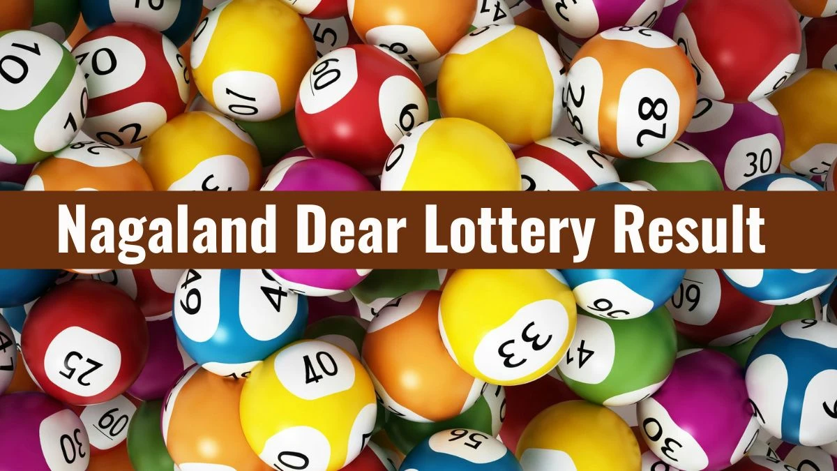 Nagaland Dear Lottery Result Today 23/11/2025 1 PM OUT: Check all Dear Wish Sunday Winning Numbers Here