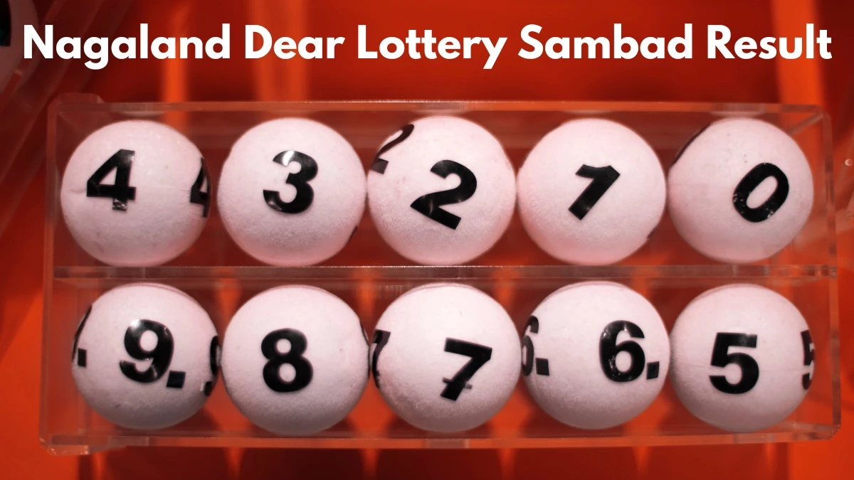 Nagaland Dear Lottery Result Today 26/11/2025 1 PM : Check all Dear Spark Morning Wednesday Winning Numbers Here