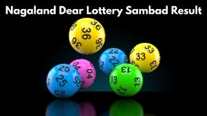 Nagaland Dear Lottery Result Today 28/11/2025 1 PM OUT: Check all Dear Victory M...