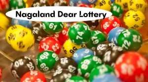Nagaland Dear Lottery Sambad Result Today 01-11-2025 8 PM OUT: Check all Dear St...