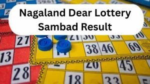 Nagaland Dear Lottery Sambad Result Today 08/11/2025 6 PM OUT: Check all Dear El...