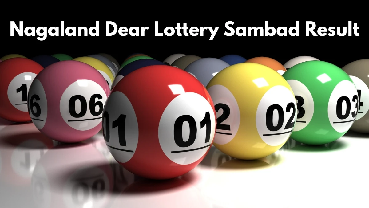 Nagaland Dear Lottery Sambad Result Today 10/11/2025 1 PM OUT: Check all Dear Rise Morning Monday Winning Numbers Here
