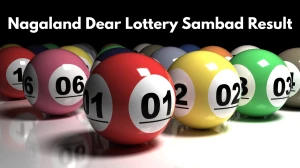 Nagaland Dear Lottery Sambad Result Today 10/11/2025 1 PM OUT: Check all Dear Ri...
