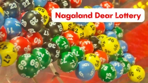 Nagaland State Lottery Result Today Dear Fame 8 PM 06-11-2025 OUT : Check Thurs...