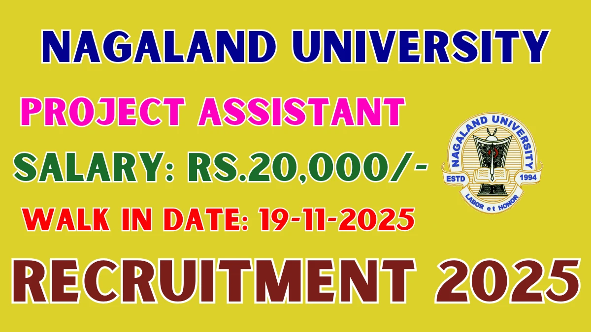 Nagaland University Project Assistant Recruitment 2025 – Walk in for 01 Posts