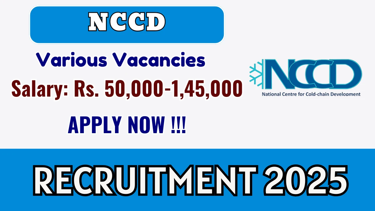 NCCD Recruitment 2025 - Apply Offline for 05  Consultant, Young Professional and More Posts