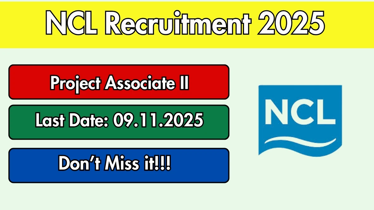 NCL Project Associate II Recruitment 2025 - Apply Online
