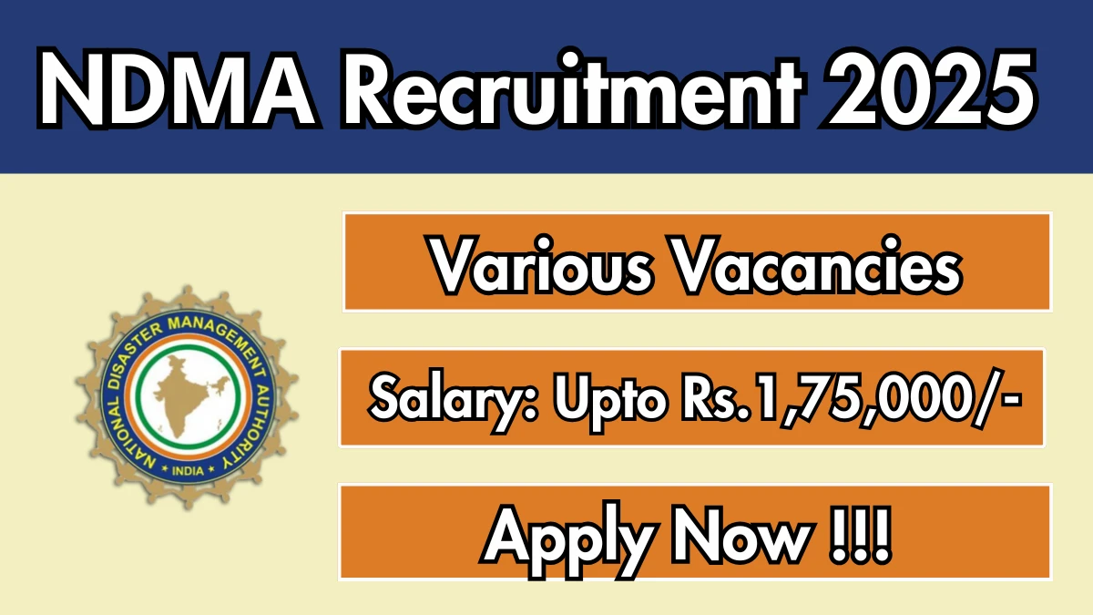 NDМА Recruitment 2025 - Apply Online for 05 Consultant, Senior Consultant and More Posts