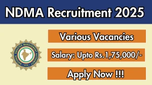 NDМА Recruitment 2025 - Apply Online for 05 Consultant, Senior Consultant and More Posts