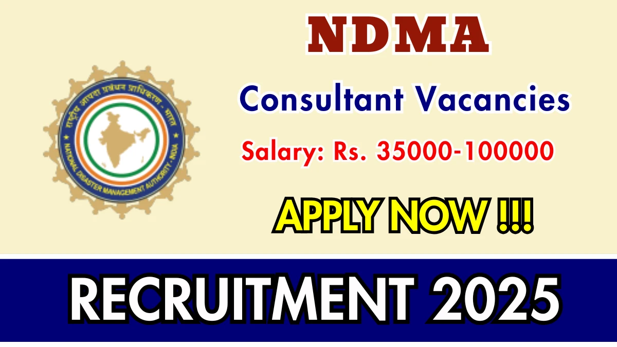 NDMA Consultant Recruitment 2025 - Apply Online for 04 Posts