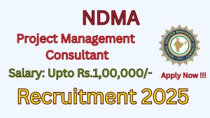 NDMA Project Management Consultant Recruitment 2025 - Apply Online