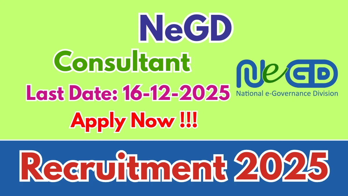 NeGD Consultant Recruitment 2025 - Apply Offline
