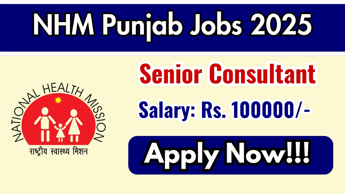 NHM Punjab Senior Consultant Recruitment 2025