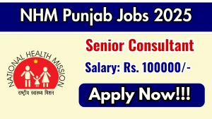 NHM Punjab Senior Consultant Recruitment 2025 – Walk in for 05 Posts NHM Punjab Senior Consultant Recruitment 2025 – Walk in for 05 Posts