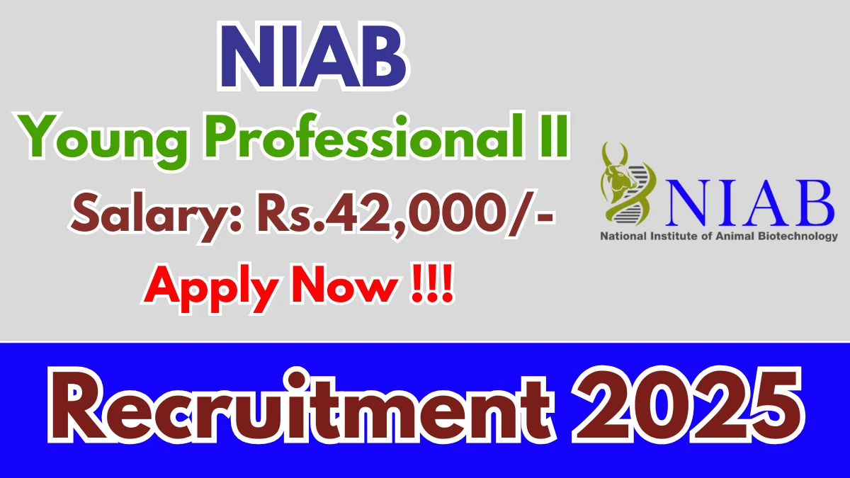 NIAB Young Professional II Recruitment 2025 - Apply Online