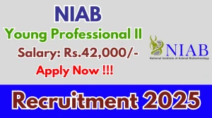 NIAB Young Professional II Recruitment 2025 - Apply Online