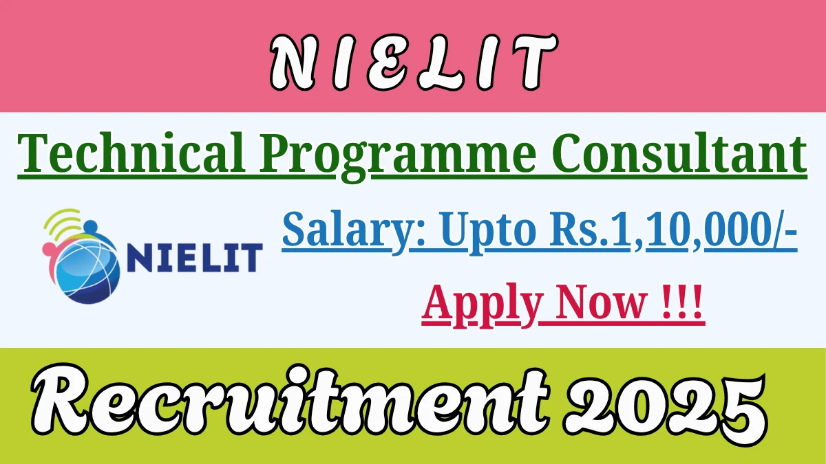 NIELIT Technical Programme Consultant Recruitment 2025 - Apply Online
