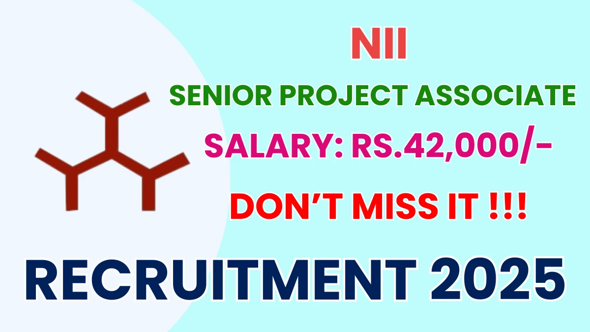 NII Senior Project Associate Recruitment 2025 - Apply Offline