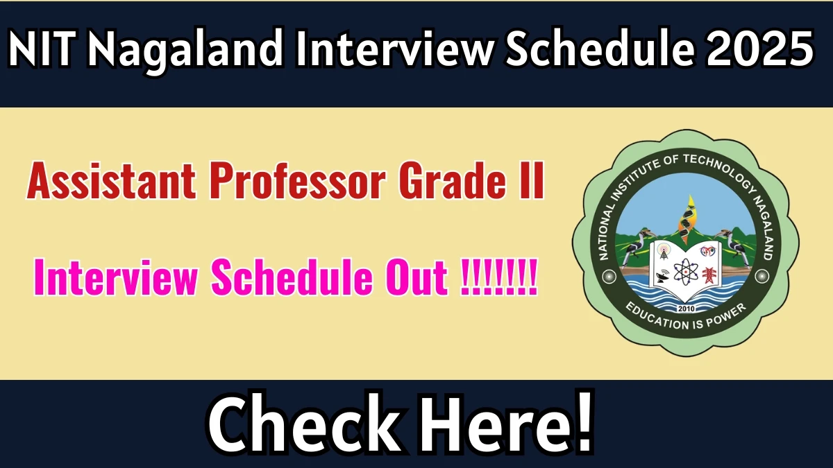 NIT Nagaland Assistant Professor Grade II Interview Schedule 2025 Released Check Date Details at nitnagaland.ac.in