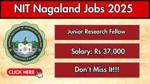 NIT Nagaland Junior Research Fellow Recruitment 2025 - Apply Offline for 01 Posts