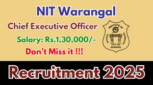 NIT Warangal Chief Executive Officer Recruitment 2025 - Apply Online
