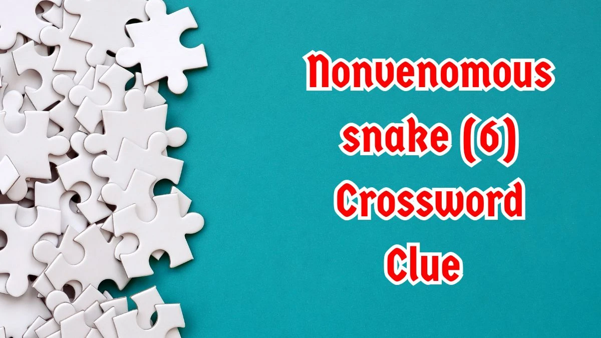 Nonvenomous snake Crossword Clue Irish Daily Mail Quick 6 letters Answer