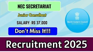 North Eastern Council Secretariat Junior Consultant Recruitment 2025 - Apply Offline