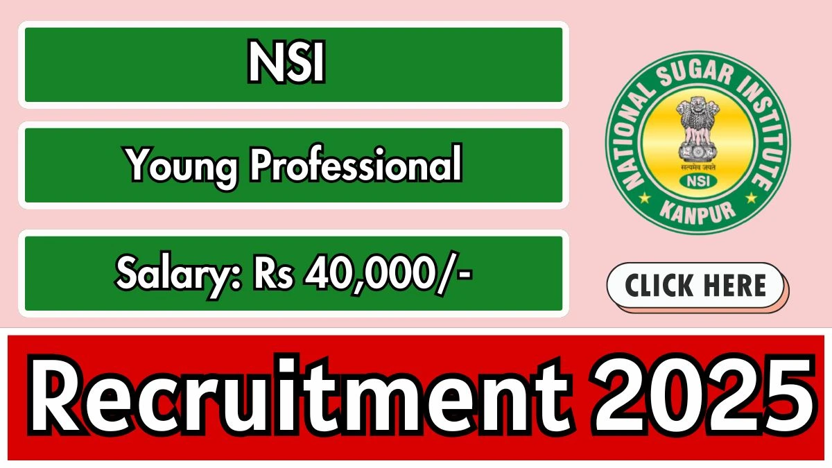 NSI Young Professional Recruitment 2025 - Apply Offline