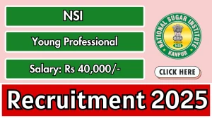 NSI Young Professional Recruitment 2025 - Apply Offline