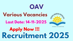 OAV Recruitment 2025 - Apply Offline for 05 Warden, Head Cook and More Posts