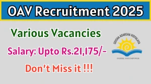 OAV Recruitment 2025 - Apply Offline for 05 Warden, Head Cook and More Posts