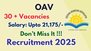 OAV Recruitment 2025 - Apply Offline for 35 Warden, Head Cook and More Posts