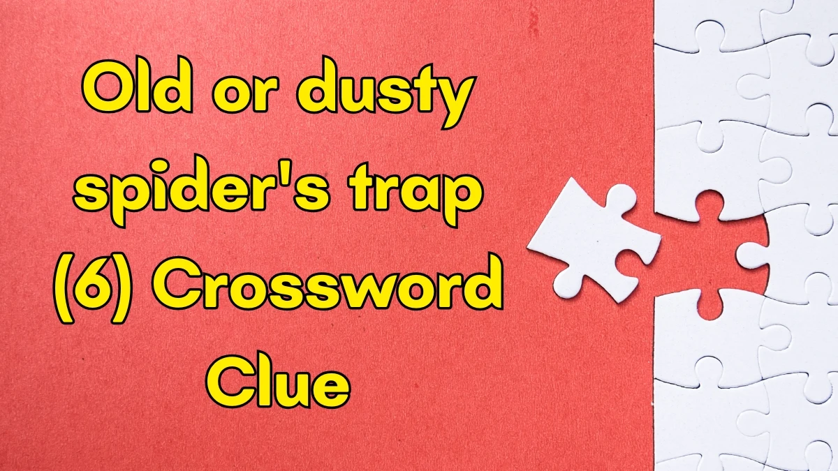 Old or dusty spider's trap Crossword Clue Irish Daily Mail Quick 6 letters Answer