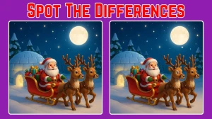 Only smart people can spot 3 differences between the Santa Claus pictures in 10 ...