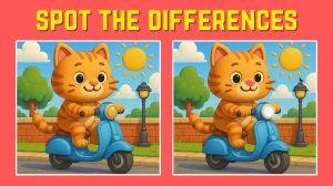 Optical Illusion Beat The Timer: Spot the 3 Differences in Cat driving a Scooty ...