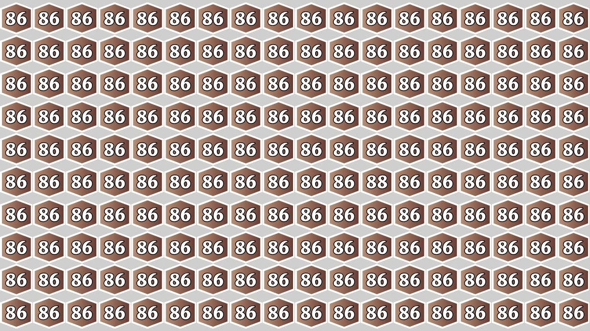 Optical Illusion Eye Test Challenge: Within 9 Seconds Spot The Number 88 among 86