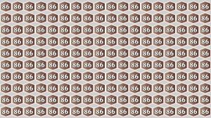 Optical Illusion Eye Test Challenge: Within 9 Seconds Spot The Number 88 among 8...